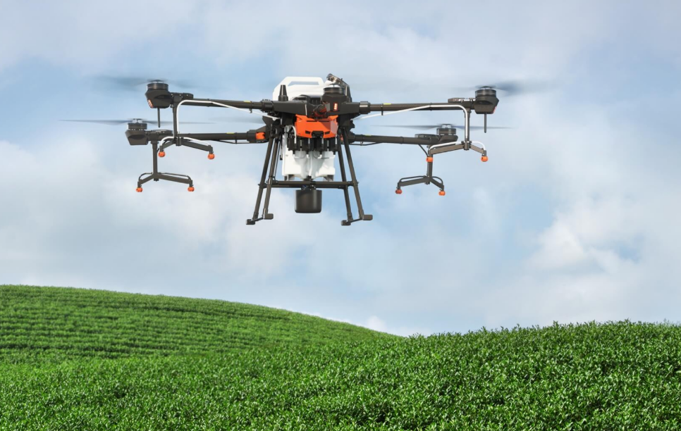 经济作物解决方案